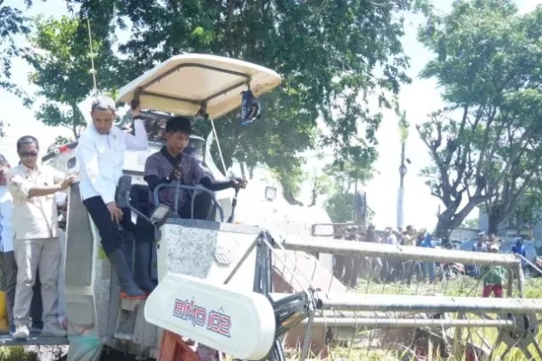 Bupati Jeneponto Paris Yasir Hadiri Panen Raya Padi Nasional, Produksi Meningkat