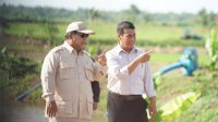 Cadangan Beras Tembus 4 Juta Ton, Mentan Amran: Terima Kasih Petani dan Stakeholders