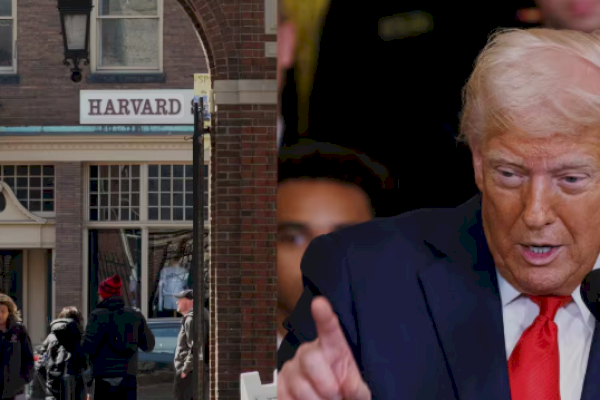 Trump Menggila! Resmi Larang & Usir Pelajar Asing Kuliah di Universitas Harvard