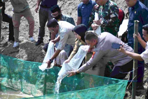 Ketua DPRD Andi Jusman Hadiri Penanaman Pohon Buah Organik dan Penebaran Benih Ikan di Sinjai Timur