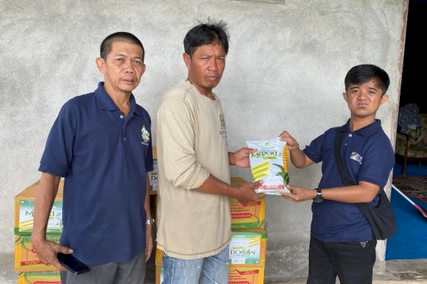 Ketua Komisi B DPRD Sulsel Azizah Irma Salurkan 15 Ton Bibit Jagung Unggul, Sasar 35 Kelompok Tani Pinrang