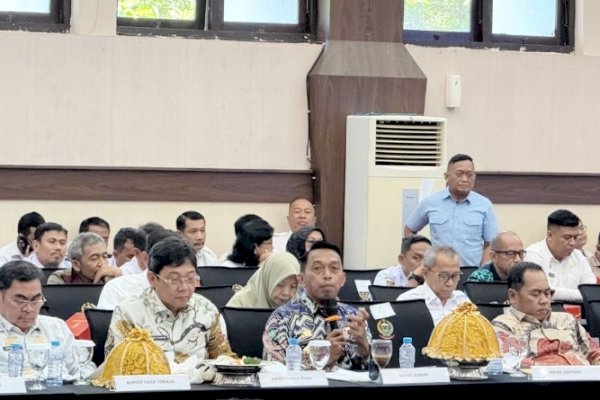 Syaharuddin Alrif Paparkan Strategi Digitalisasi Pemkab Sidrap di Forum TPID-TP2DD Sulsel