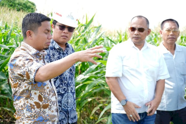 Wali Kota Tasming Hamid Dorong KIPAS Jadi Motor Penggerak Ekonomi Baru Parepare