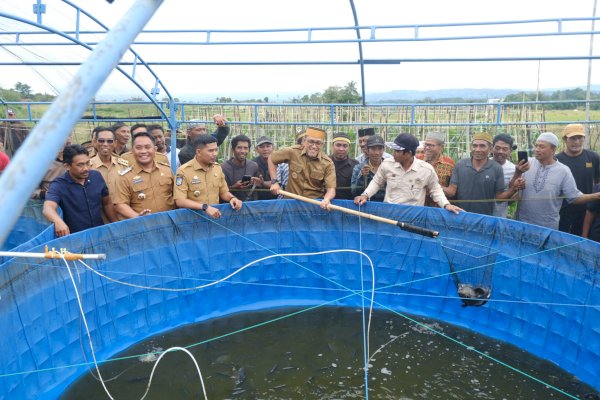 Bupati-Wabup Jeneponto Kompak Panen Raya Padi dan Ikan Air Tawar di Desa Bontotiro Rumbia