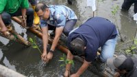 Wali Kota Munafri Tekankan Manfaat Mangrove untuk Lingkungan dan Ekonomi