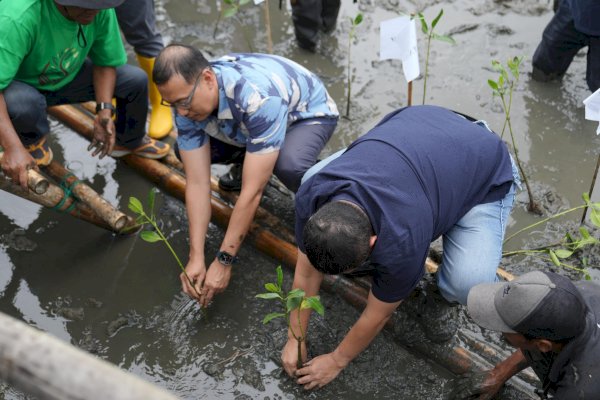 Wali Kota Munafri Tekankan Manfaat Mangrove untuk Lingkungan dan Ekonomi