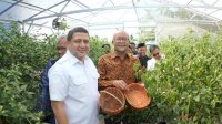 Pemkot Makassar Hadirkan Ketahanan Pangan dan Kemandirinya Ekonomi Lewat Urban Farming