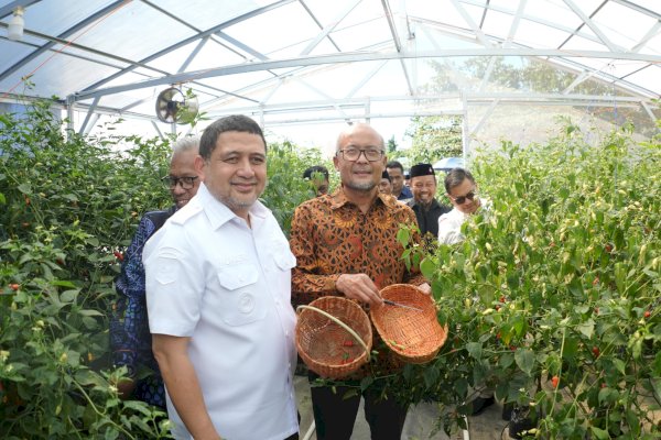 Pemkot Makassar Hadirkan Ketahanan Pangan dan Kemandirinya Ekonomi Lewat Urban Farming