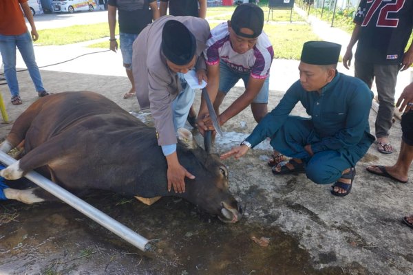 Ketua KONI Makassar Berbagi dan Bangun Kebersamaan di Idul Adha 2025/1446 H
