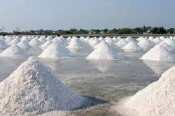 Pemkab Pangkep Jadikan Garam Komoditi Unggulan Daerah