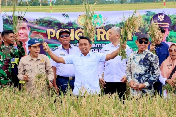 Syaharuddin Alrif Jabat Waketum Bidang Pangan Apkasi, Siap Kawal Ketahanan Pangan Nasional
