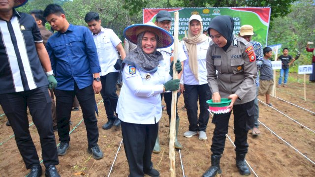 Bupati Sinjai, Ratnawati Arif, dalam Kegiatan Penanaman Jagung Serentak Kuartal III Dan Penanaman Jagung Di Lahan Perhutanan Sosial Tahun 2025.
