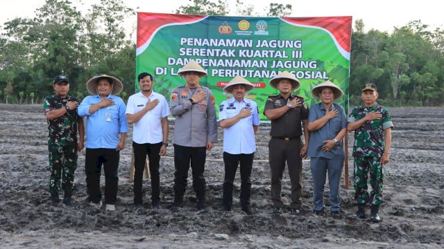 Bupati Pinrang H. A. Irwan Hamid, S.Sos bersama unsur Forkopimda Kabupaten Pinrang turut ambil bagian dalam kegiatan tanam jagung serentak.