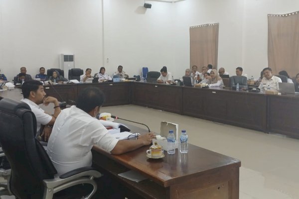 Banggar DPRD Palopo Evaluasi Realisasi PAD RSUD Palemmai Tandi 2024