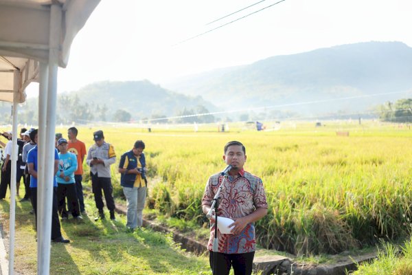 Tasming Hamid Wujudkan Janji Politik, Petani Parepare Nikmati Asuransi dan Panen Benih Perdana