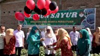 DWP Pangkep Luncurkan Program Darlina