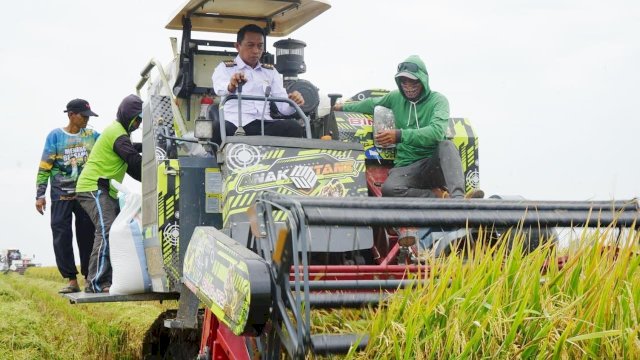 Bupati Sidrap, H. Syaharuddin Alrif, hadiri panen raya di Dusun Turungeng, Desa Teteaji, Kecamatan Tellu Limpoe.