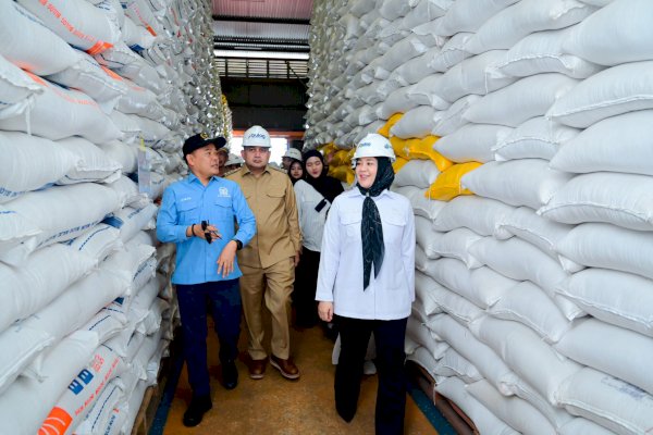 Wagub Sulsel Dukung Teknologi Beras untuk Jaga Stabilitas Pangan