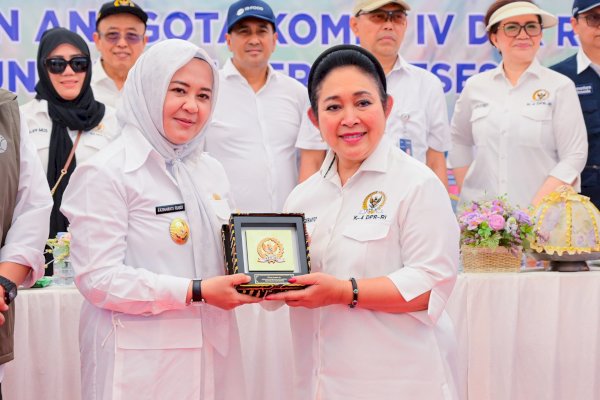 Fatmawati Rusdi: Sulsel Catat Surplus Beras 1,21 Juta Ton Tahun Ini