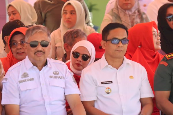 Kemendagri Tetapkan Pinrang sebagai Kabupaten Berkinerja Terbaik Cegah Stunting 2024