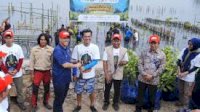 Bupati Pangkep Yusran Tegaskan Pentingnya Ekosistem Mangrove bagi Kelestarian Laut dan Kesejahteraan Nelayan