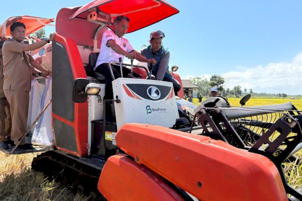 Panen Perdana di Bila Riawa, Syaharuddin: Bersyukur dan Terus Jaga Kebersamaan