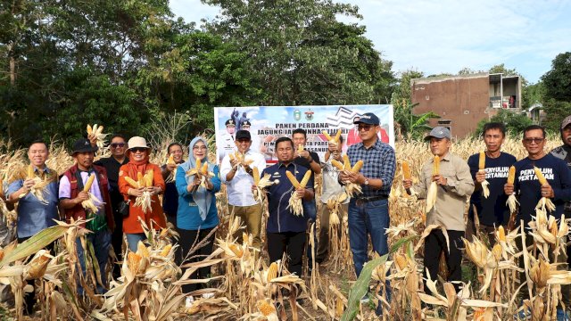 Panen Perdana Jagung Jago Unhas, Parepare Siap Kembangkan Sentra Pembibitan