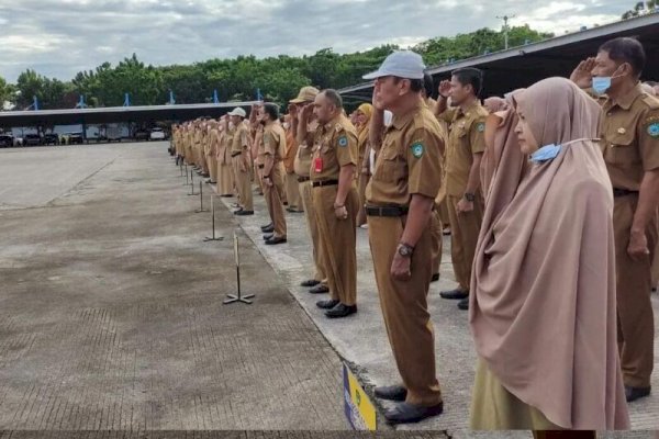Tenaga Honorer Pemkab Maros Tersisa 90 Orang, Bupati Chaidir Syam Koordinasikan ke BKN