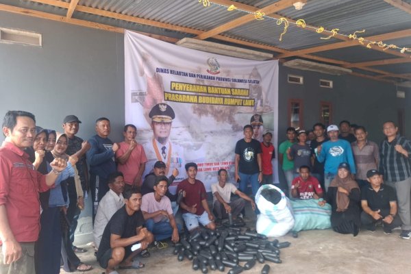 Pemprov Sulsel Salurkan 141 Ton Bibit Rumput Laut dan 117 Ribu Pelampung untuk Petani di Luwu Raya