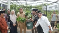 Wali Kota Makassar Dorong Urban Farming Bukit Baruga Jadi Pilot Project Ketahanan Pangan Kota