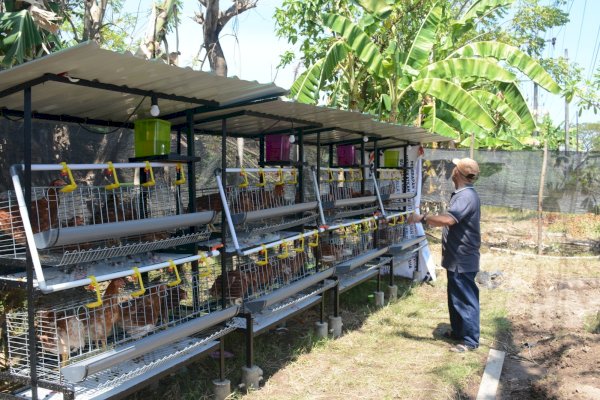 Makassar Luncurkan Program Ekonomi Hijau Terpadu di Tanjung Merdeka