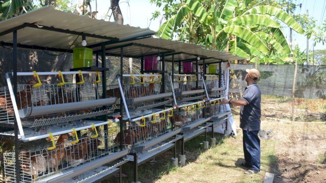 Ekonomi hijau berbasis pemberdayaan warga mulai diwujudkan di Kelurahan Tanjung Merdeka.