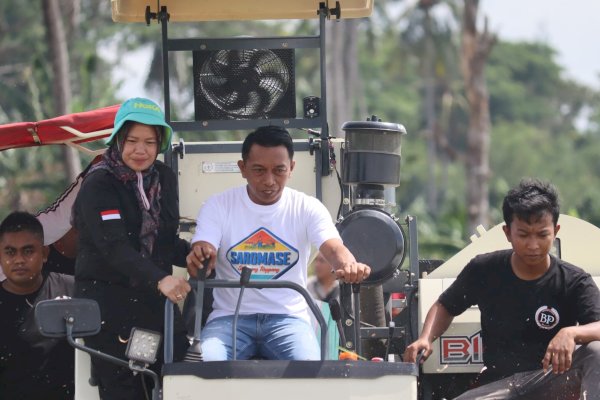 Bupati Sidrap dan Direktur Alsintan Panen Raya di Panca Lautang