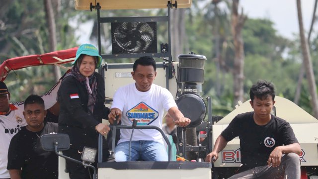Bupati Sidrap, Syaharuddin Alrif, bersama Direktur Alsintan Kementerian Pertanian, Dr. Fausiah T. Ladja melakukan panen raya di Kecamatan Panca Lautang.