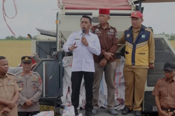 Bupati Sidrap Panen Raya dan Evaluasi Pertanaman di Panca Lautang