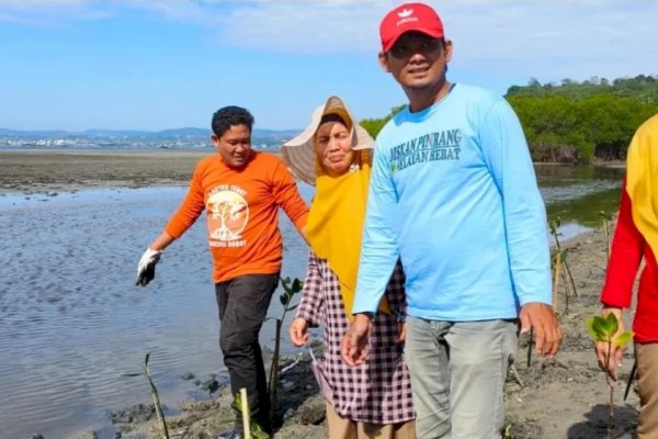 Mangrove untuk Pesisir Pinrang, Dari Perlindungan Alam hingga Ketahanan Pangan