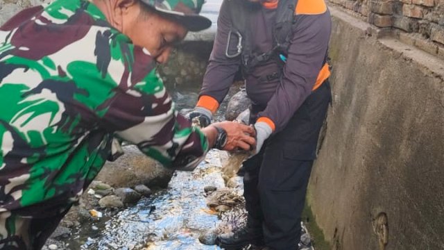 Jumat Bersih, Pemkot Parepare Fokus Bersihkan Drainase
