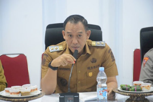 Wabup Sinjai Mahyanto Buka Pelatihan Fasilitator Perencana Anak