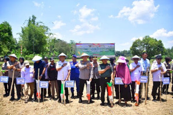 Dukung Swasembada Pangan, Wabup Mahyanto Tanam Jagung Serentak Bersama Forkopimda Sinjai