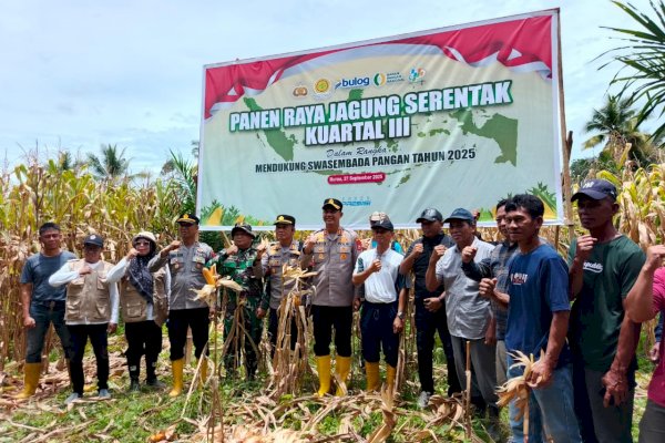 Polres Lutim Gelar Panen Raya Jagung Serentak di Desa Lewonu, Dukung Program Swasembada Pangan
