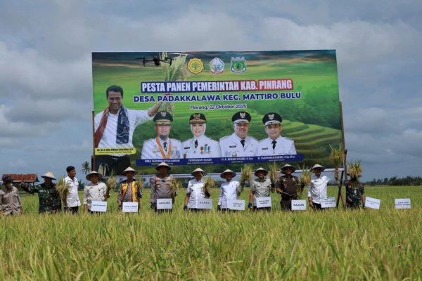 Pemkab Pinrang dan Pemprov Sulsel Sinergi Dukung Kedaulatan Pangan Lewat Pesta Panen Padi 2025