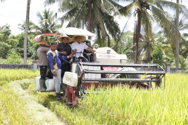 Bupati Ibas Dorong Kemajuan Pertanian Luwu Timur