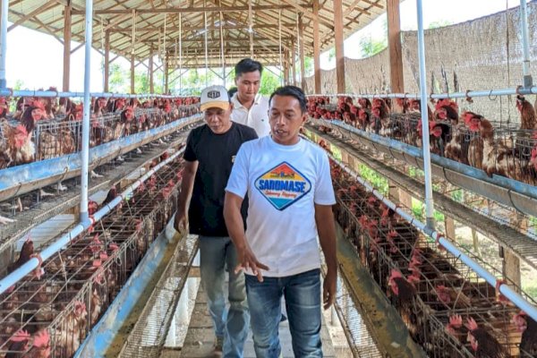 Bupati Sidrap Dorong Petani dan Peternak Transaksi Digital Pakai QRIS