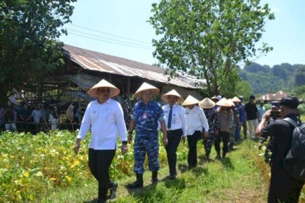 Wabup Maros Muetazim Hadiri Panen Kedelai di Bantimurung, Dorong Ketahanan Pangan Daerah