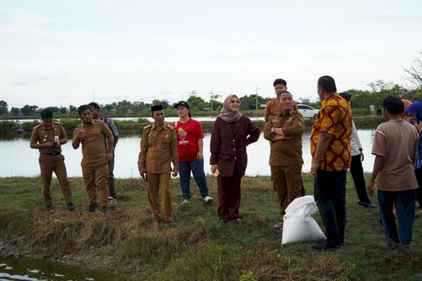 Rombongan Pandu Juara Belajar Langsung Budidaya dan Olah Bandeng di Gresik