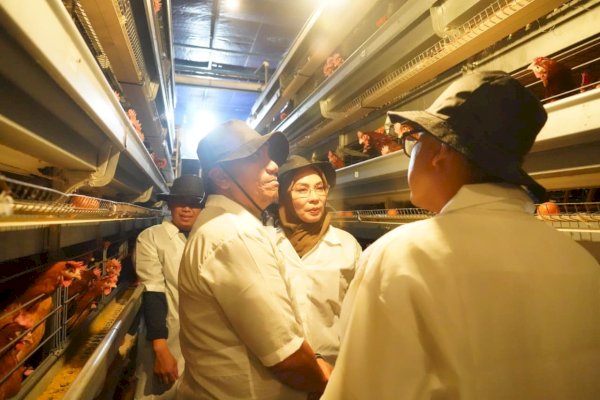 Peternakan Ayam Terbesar di Blitar Jadi Tempat Belajar Rombongan Pandu Juara Lutim
