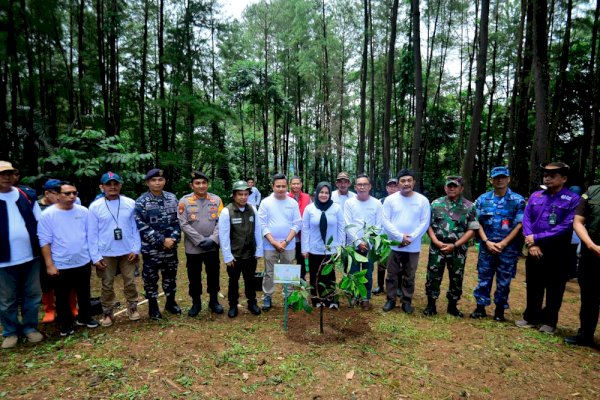 Pimpin Penanaman Pohon Serentak, Fatmawati Ajak Perkuat Kolaborasi Hijaukan Sulsel