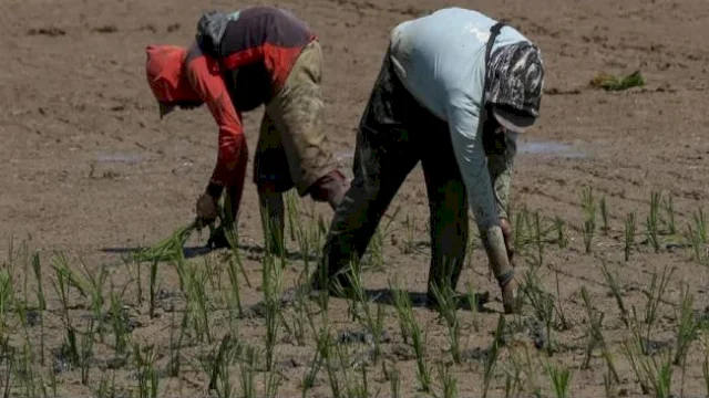 Pemerintah Bakal Bagikan Tanah untuk 1 Juta Masyarakat Miskin Ekstrem