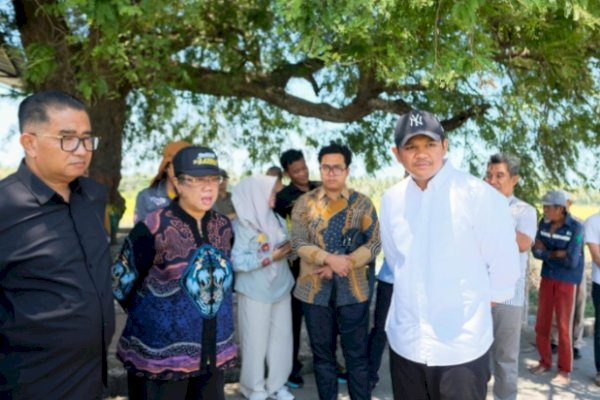 Bupati Bantaeng Terima Kunjungan Dirjen Otda Bahas Program Ketahanan Pangan