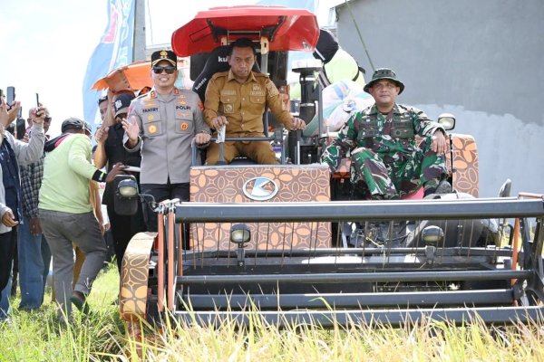 Panen 52 Hektare di Majjelling Wattang Bukti IP 300 Sukses Diimplementasikan